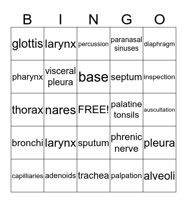 Respiratory System Bingo Card