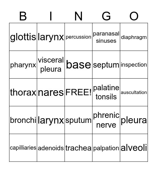 Respiratory System Bingo Card