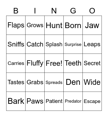 English Club Vocab 4 Bingo Card