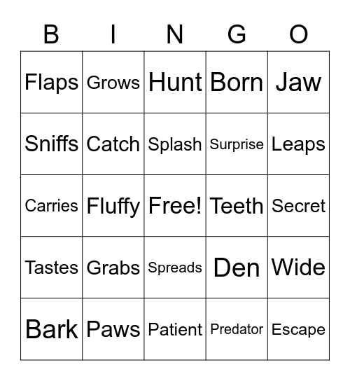 English Club Vocab 4 Bingo Card