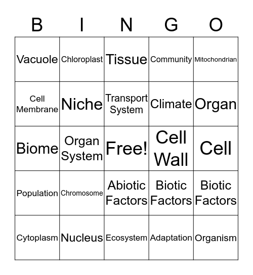 Animal and Plant Cell Bingo Card