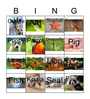 Animals with pictures Bingo Card