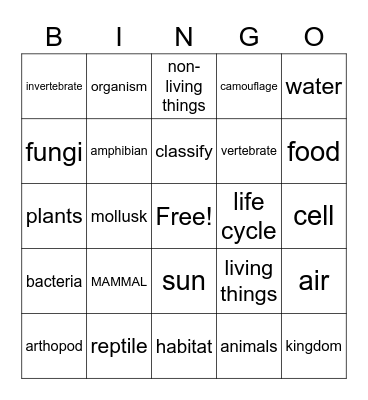 SCIENCE SIGHT WORDS Bingo Card