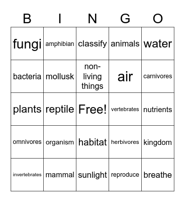 SCIENCE SIGHT WORDS Bingo Card