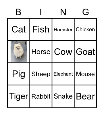 Animals Bingo Card