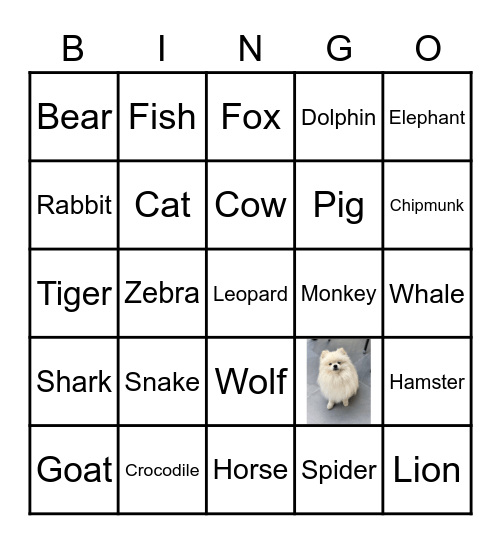 Animals 5x5 Bingo Card