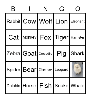 Animals Bingo Card