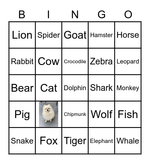 Animals2 Bingo Card