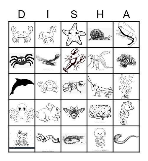 DISHA Bingo Card