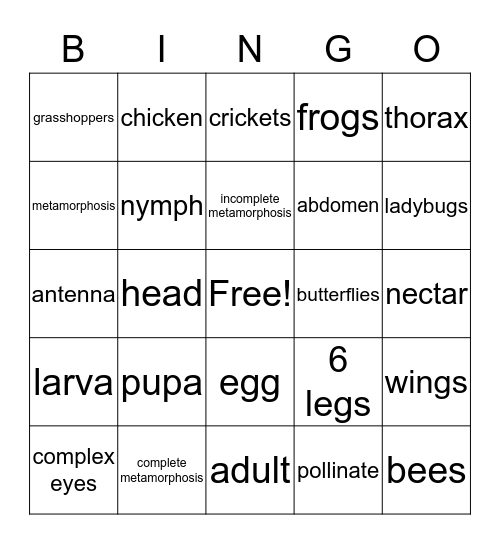 Insect Life Cycles Bingo Card