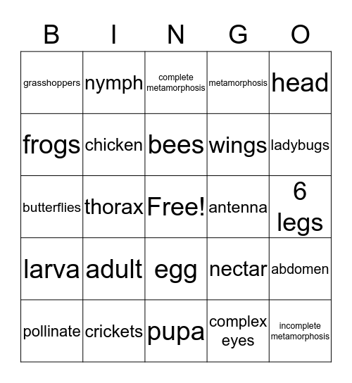 Insect Life Cycles Bingo Card