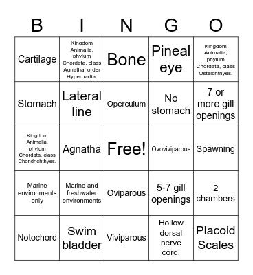 Fishes Review Bingo Card