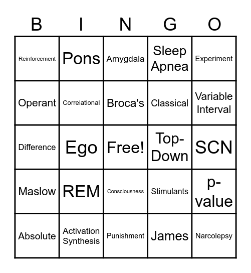 Psy 201 Bingo Card