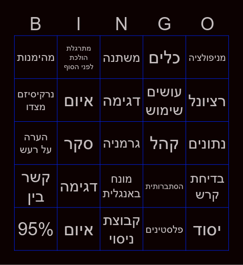 סיבוב 2 Bingo Card