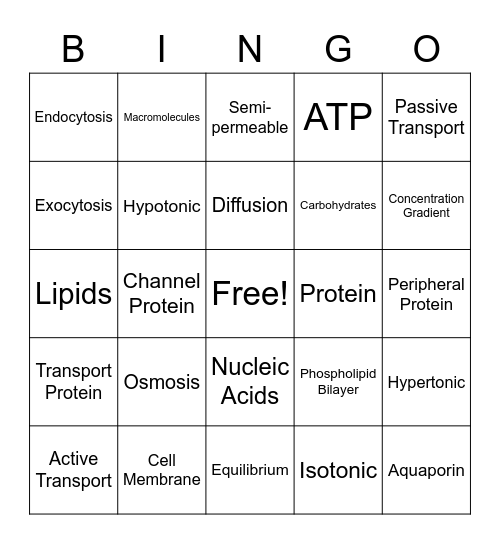 Cell Transport Bingo Card