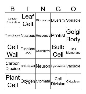 Organisms Bingo Card