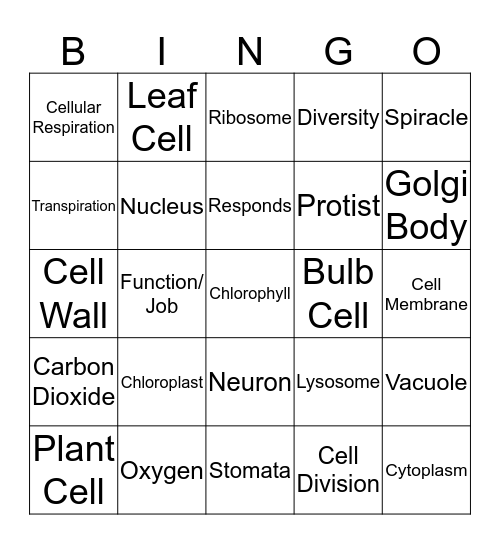 Organisms Bingo Card