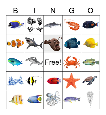 Rowan's Birthday BINGO Card
