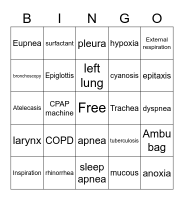 Respiratory System Bingo Card