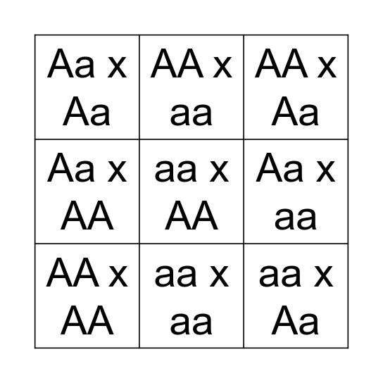 Monohybrid Cross Tic Tac Toe Bingo Card