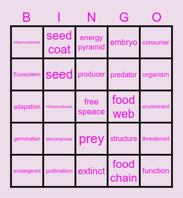 Environments Bingo Card