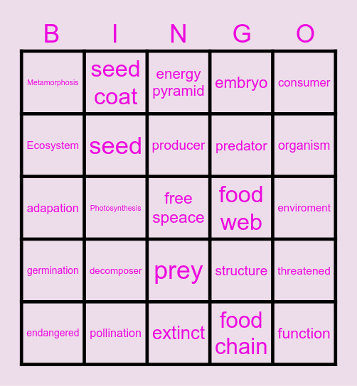 Environments Bingo Card