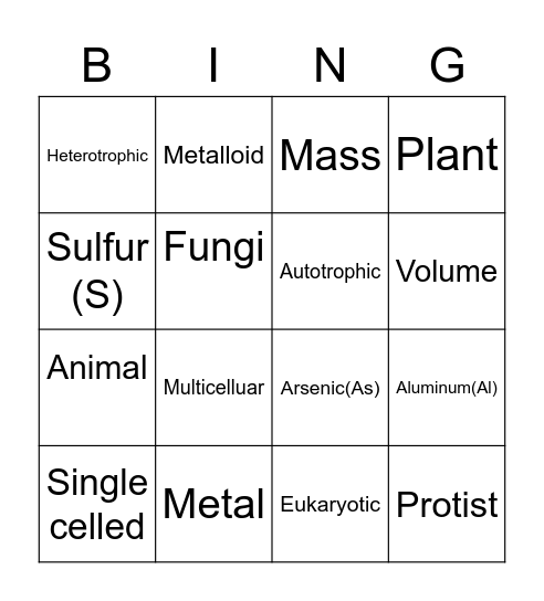 DCP #2 Vocabulary Bingo Card