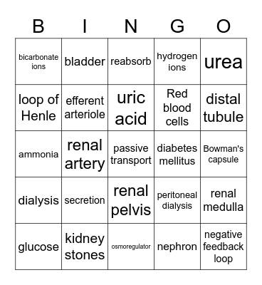 Excretory system Bingo Card