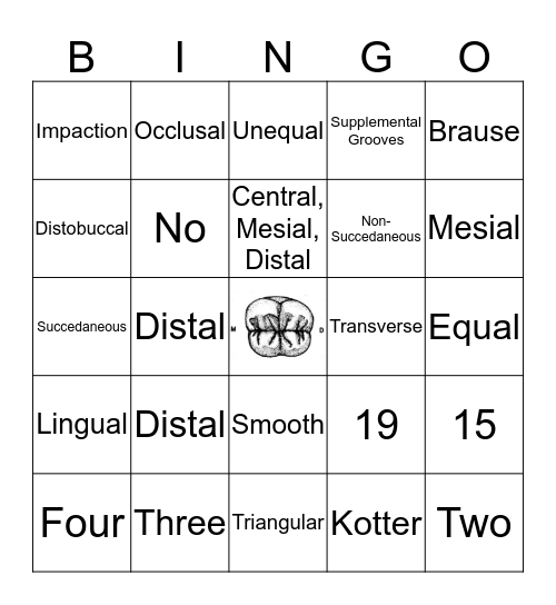 2nd Molars Bingo Card