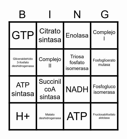 Bingo de la respiración aerobia 4x4 Bingo Card