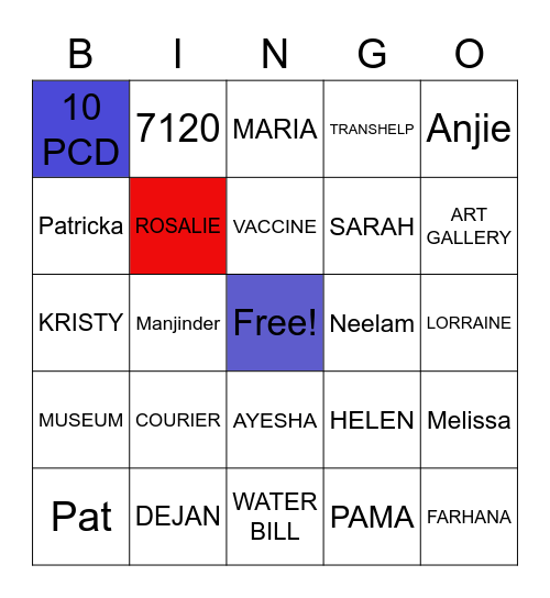 ACCESS PEEL Bingo Card
