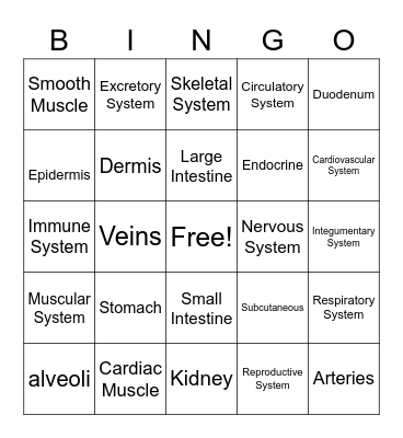 Body Systems Bingo Card