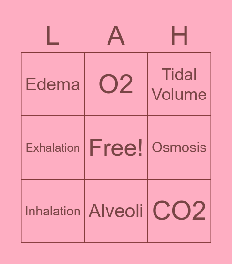 Respiratory Physiology Bingo! Bingo Card