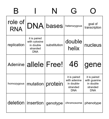 DNA Structure and Function Bingo Card