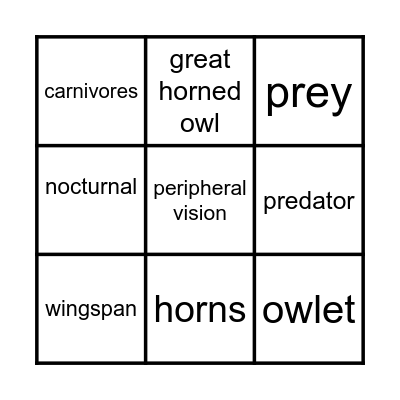 Owl Vocabulary Bingo Card