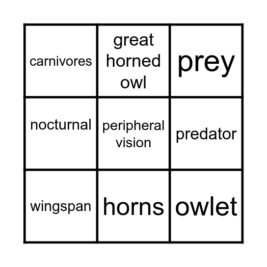 Owl Vocabulary Bingo Card