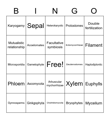 Principles of Biology II Bingo Card
