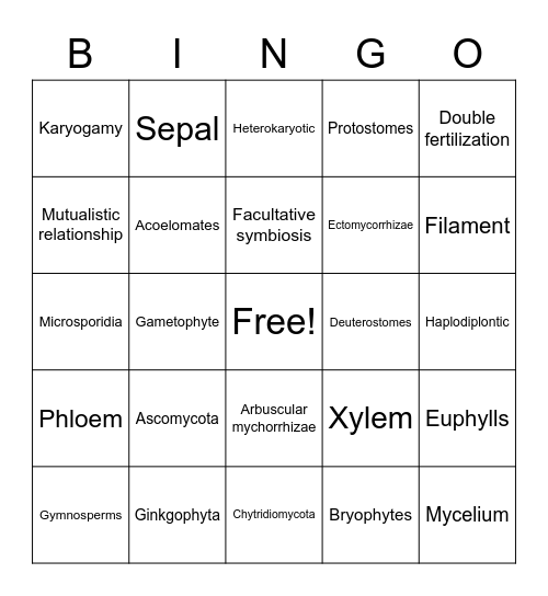 Principles of Biology II Bingo Card