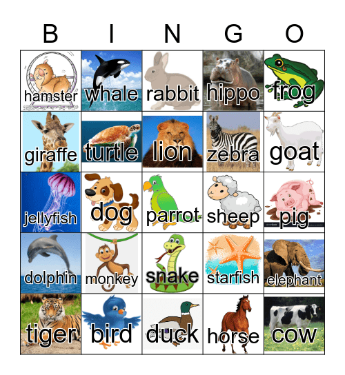 Animals Bingo Card