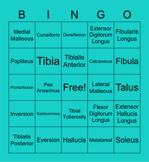 Lower Leg and foot! Bingo Card
