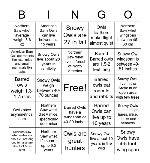 Owls Bingo Card