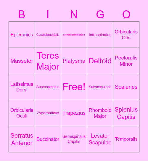 Muscle List 1 Bingo Card