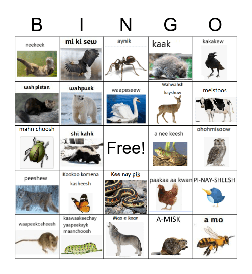 Ahweeyasheeshuk with words Bingo Card