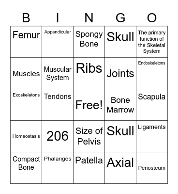 Skeletal System Bingo Card