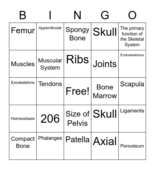 Skeletal System Bingo Card