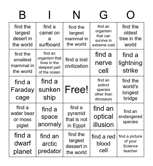 Scavenger Hunt Bingo Challenge Bingo Card