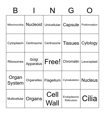 Biology Ch. 5A Bingo Card