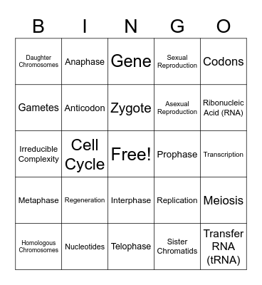 Life Science - Chapter 3 Bingo Card