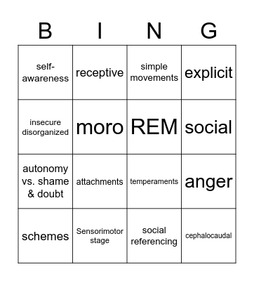 Development Ages 0-3 Bingo Card