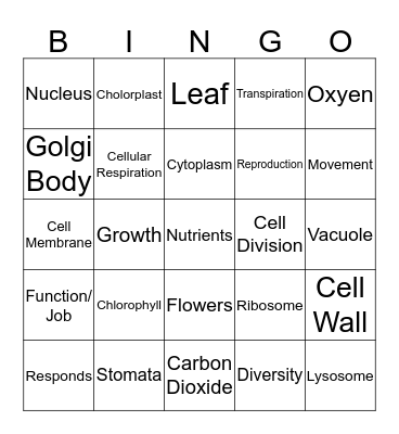 MR. CRENG and the Organelles  Bingo Card